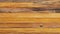 Wood Plank Background With Yellow Stripes In American Tonalist Style