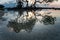 wood reflected in sea water