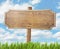 Wood road sign on grass and sky background