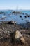 Wood, rocks and vegetation in bolsena lake, province of viterbo, italy