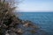 Wood, rocks and vegetation in bolsena lake, province of viterbo, italy