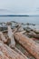 Wood and rocks by water with view of Elliot Bay in Myrtle Edwards Park near downtown of Seattle, USA