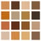 Wood Samples Parquetry Types Assorted Set