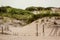 Wood sand dune fence Delaware