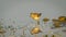 Wood Sandpiper (Tringa glareola) , reflection, water