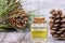 Wood scents for winter time aromatherapy. Pine cones and fresh green fir tree boughs, essential oil bottles, top view