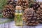 Wood scents for winter time aromatherapy. Pine cones and fresh green fir tree boughs, essential oil bottles, top view