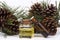 Wood scents for winter time aromatherapy. Pine cones and fresh green fir tree boughs, essential oil bottles, top view