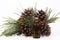 Wood scents for winter time aromatherapy. Pine cones and fresh green fir tree boughs, essential oil bottles, top view