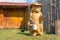 Wood sculpture `Bear` in a hat