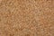 Wood shavings or sawdust background texture