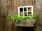 Wood shed and flower box