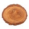 Wood slice cross section rings of tree, Juniper texture, close u