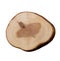 Wood slice on a white background