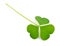 Wood-sorrel leawes