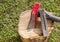 A wood splitting maul with a metal wedge on top of a wooden log