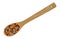 Wood spoon filled with garlic and chili seasoning