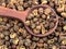 Wood spoon on pile of sichuan pepper closeup