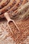 Wood spoon with wheat grains