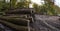 Wood Stacks in forest