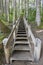 Wood Staircase in Hiking Trail