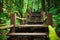 Wood stairs among green foliage leading across scenic tropical woods. Way through forest in summer season.