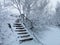 Wood stairs snow covered trees in Pingvellir during a winterstorm in Iceland.