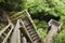 Wood stairway in forest