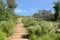 Wood Steps Irvine Regional Park