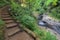 Wood Steps by Waterfall at Sweet Creek Falls Trail