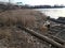 Wood and sticks and branches and garbage or trash and the Wilson bridge in Virginia