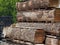 Wood stockpile