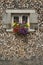 Wood store with flowers