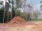 Wood store in forest