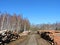 Wood store near road