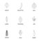 Wood structure icons set, outline style