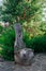 Wood stump in horizontal and vertical cuts for chopping wood on stone pavement with violet and yellow flowers, green