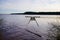 Wood submerged pontoon by water storm jetty in lake Carcans Maubuisson  France