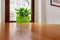 Wood table background of free space and green flower windowsill home interior with window