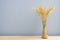 Wood table with dried golden rice tree on glass bottle and blue cement wall.