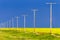 Wood Telephone Poles Canadian Prairies