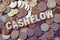 Wood text CASHFLOW on coins background , business and finance co