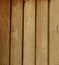 Wood texture