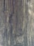 Wood Texture