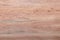 Wood texture background. Blank for design