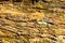 Wood texture background Close-up of old dead wood that is stained and pitted with a rough textured surface.