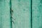 Wood texture, background with copy space. Old wooden barn green or emerald