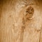 Wood texture background knotted
