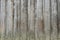 Wood texture. background old panels, grey fence