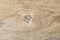 Wood texture with beautiful pattern with wood core pattern